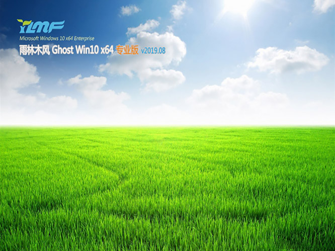 雨林木风Ghost Win10 x64 专业版v2019.08