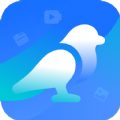 白鸟清理app