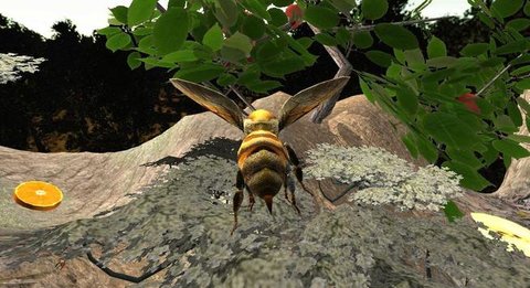 蜂巢模拟器3d